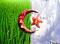 ������ ������� hamza889